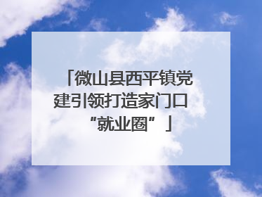 微山县西平镇党建引领打造家门口“就业圈”