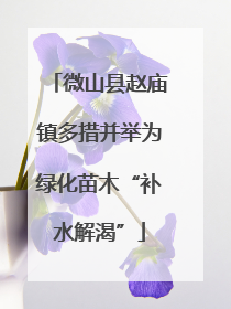 微山县赵庙镇多措并举为绿化苗木“补水解渴”