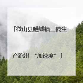 微山县驩城镇三夏生产跑出 “加速度”