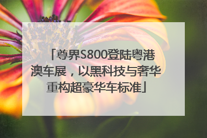 尊界S800登陆粤港澳车展，以黑科技与奢华重构超豪华车标准