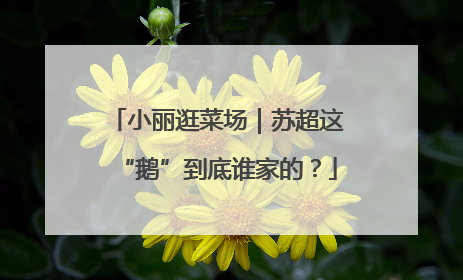 小丽逛菜场｜苏超这“鹅”到底谁家的？
