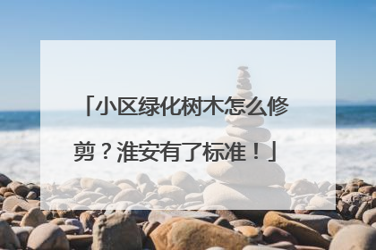 小区绿化树木怎么修剪？淮安有了标准！