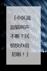 小区流浪猫叫声不断？民情快办出招啦！