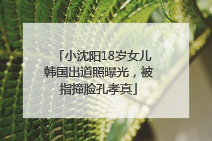 小沈阳18岁女儿韩国出道照曝光，被指撞脸孔孝真