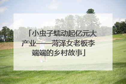 小虫子蠕动起亿元大产业——菏泽女老板李端端的乡村故事