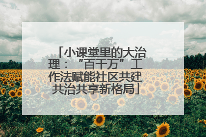 小课堂里的大治理：“百千万”工作法赋能社区共建共治共享新格局