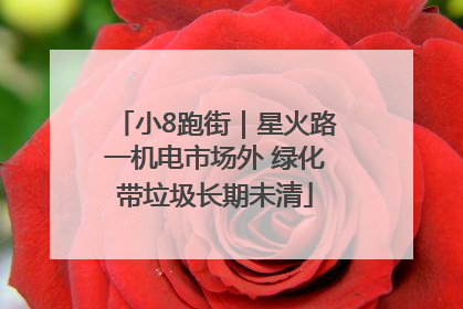 小8跑街｜星火路一机电市场外 绿化带垃圾长期未清