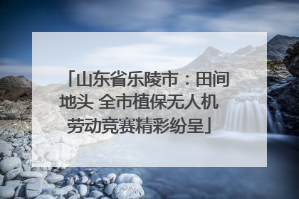 山东省乐陵市：田间地头 全市植保无人机劳动竞赛精彩纷呈