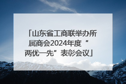 山东省工商联举办所属商会2024年度“两优一先”表彰会议