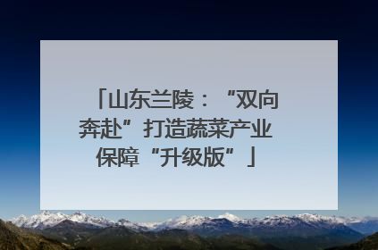 山东兰陵：“双向奔赴”打造蔬菜产业保障“升级版”