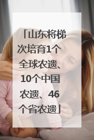 山东将梯次培育1个全球农遗、10个中国农遗、46个省农遗