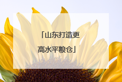 山东打造更高水平粮仓