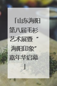 山东海阳第八届毛衫艺术展暨“海阳印象”嘉年华启幕