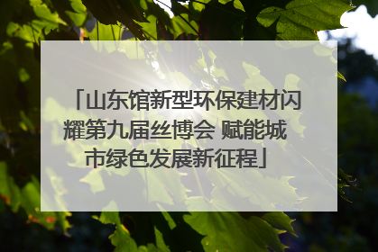 山东馆新型环保建材闪耀第九届丝博会 赋能城市绿色发展新征程