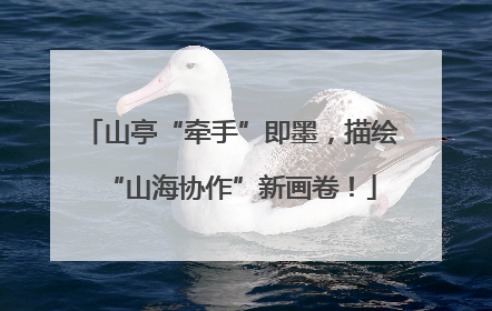 山亭“牵手”即墨，描绘“山海协作”新画卷！