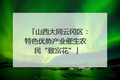 山西大同云冈区：特色优势产业催生农民“致富花”