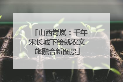 山西岢岚：千年宋长城下绘就农文旅融合新图景