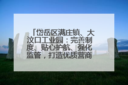 岱岳区满庄镇、大汶口工业园：完善制度、贴心护航、强化监管，打造优质营商“强磁场”