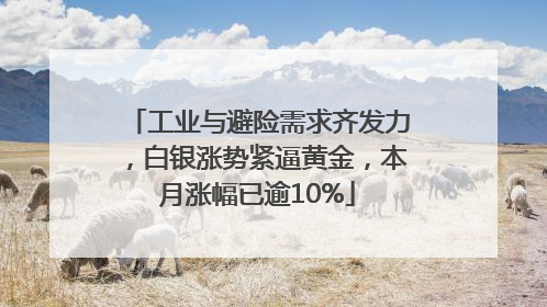 工业与避险需求齐发力，白银涨势紧逼黄金，本月涨幅已逾10%