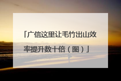 广信这里让毛竹出山效率提升数十倍（图）