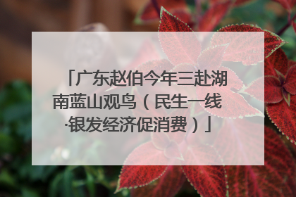 广东赵伯今年三赴湖南蓝山观鸟（民生一线·银发经济促消费）