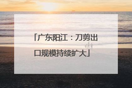 广东阳江：刀剪出口规模持续扩大