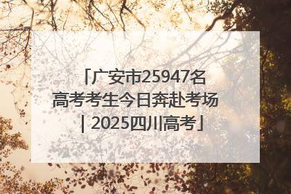 广安市25947名高考考生今日奔赴考场｜2025四川高考