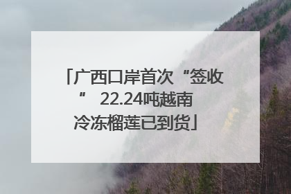 广西口岸首次“签收” 22.24吨越南冷冻榴莲已到货