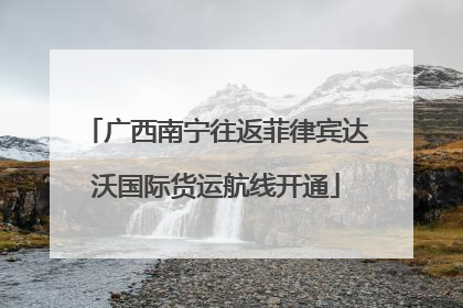 广西南宁往返菲律宾达沃国际货运航线开通