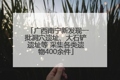 广西南宁新发现一批洞穴遗址、大石铲遗址等 采集各类遗物400余件