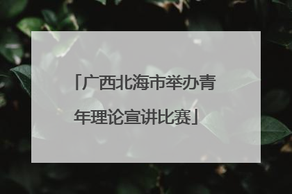 广西北海市举办青年理论宣讲比赛