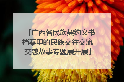 广西各民族契约文书档案里的民族交往交流交融故事专题展开展