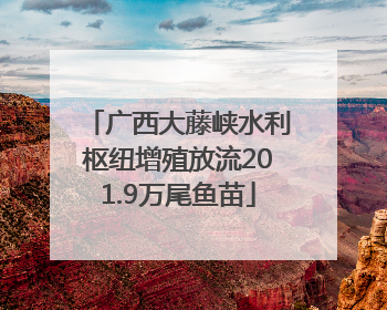 广西大藤峡水利枢纽增殖放流201.9万尾鱼苗