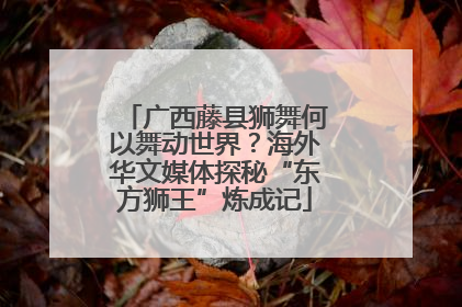 广西藤县狮舞何以舞动世界？海外华文媒体探秘“东方狮王”炼成记