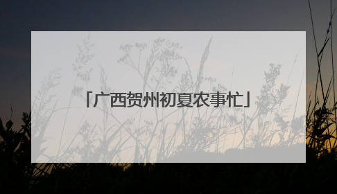 广西贺州初夏农事忙