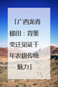 广西龙脊梯田：背篓变迁见证千年农耕传统魅力