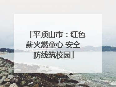 平顶山市：红色薪火燃童心 安全防线筑校园