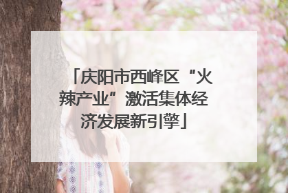 庆阳市西峰区“火辣产业”激活集体经济发展新引擎