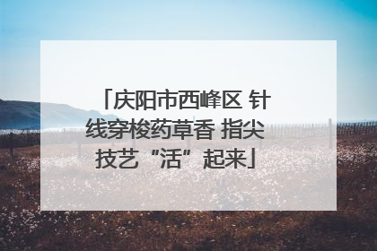 庆阳市西峰区 针线穿梭药草香 指尖技艺“活”起来