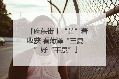 府东街丨“芒”着收获 看菏泽“三夏”好“丰景”