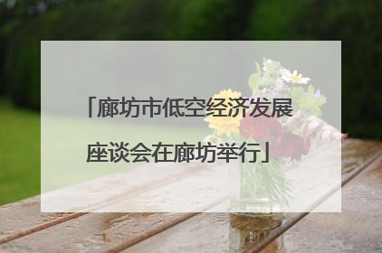 廊坊市低空经济发展座谈会在廊坊举行