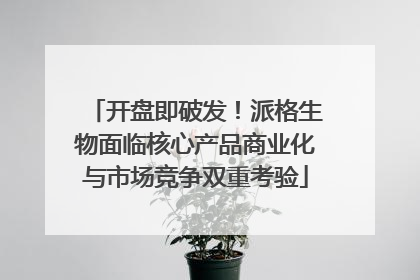 开盘即破发！派格生物面临核心产品商业化与市场竞争双重考验