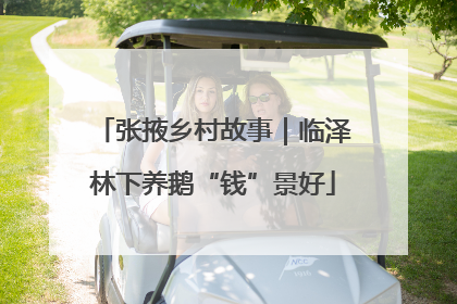张掖乡村故事｜临泽林下养鹅“钱”景好