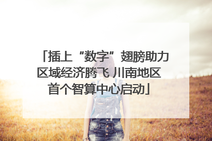 插上“数字”翅膀助力区域经济腾飞 川南地区首个智算中心启动
