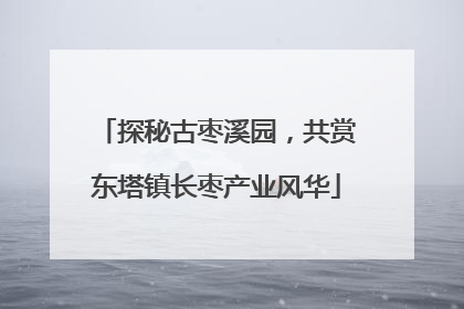探秘古枣溪园，共赏东塔镇长枣产业风华