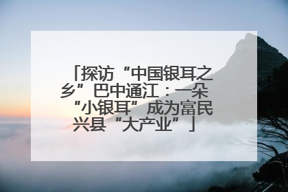 探访“中国银耳之乡”巴中通江：一朵“小银耳”成为富民兴县“大产业”