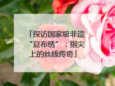 探访国家级非遗“夏布绣”：指尖上的丝线传奇
