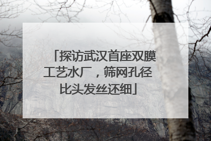 探访武汉首座双膜工艺水厂，筛网孔径比头发丝还细