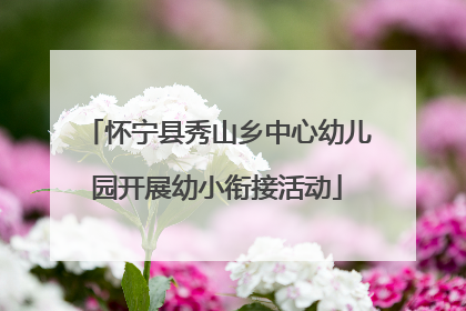 怀宁县秀山乡中心幼儿园开展幼小衔接活动