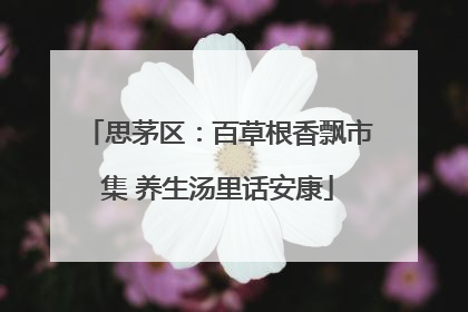 思茅区：百草根香飘市集 养生汤里话安康